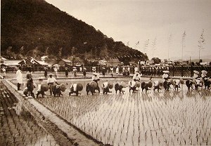 20100126daijyosai (2).jpg